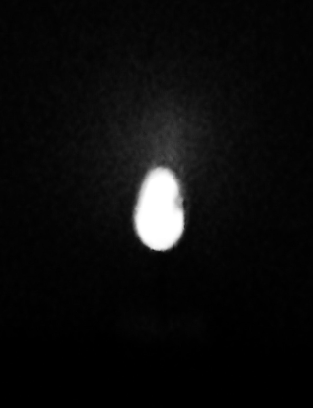 NIR luminescence picture of the scarab